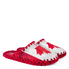 Комнатные тапочки мужские фетровые Canada