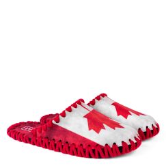 Комнатные тапочки мужские фетровые Canada