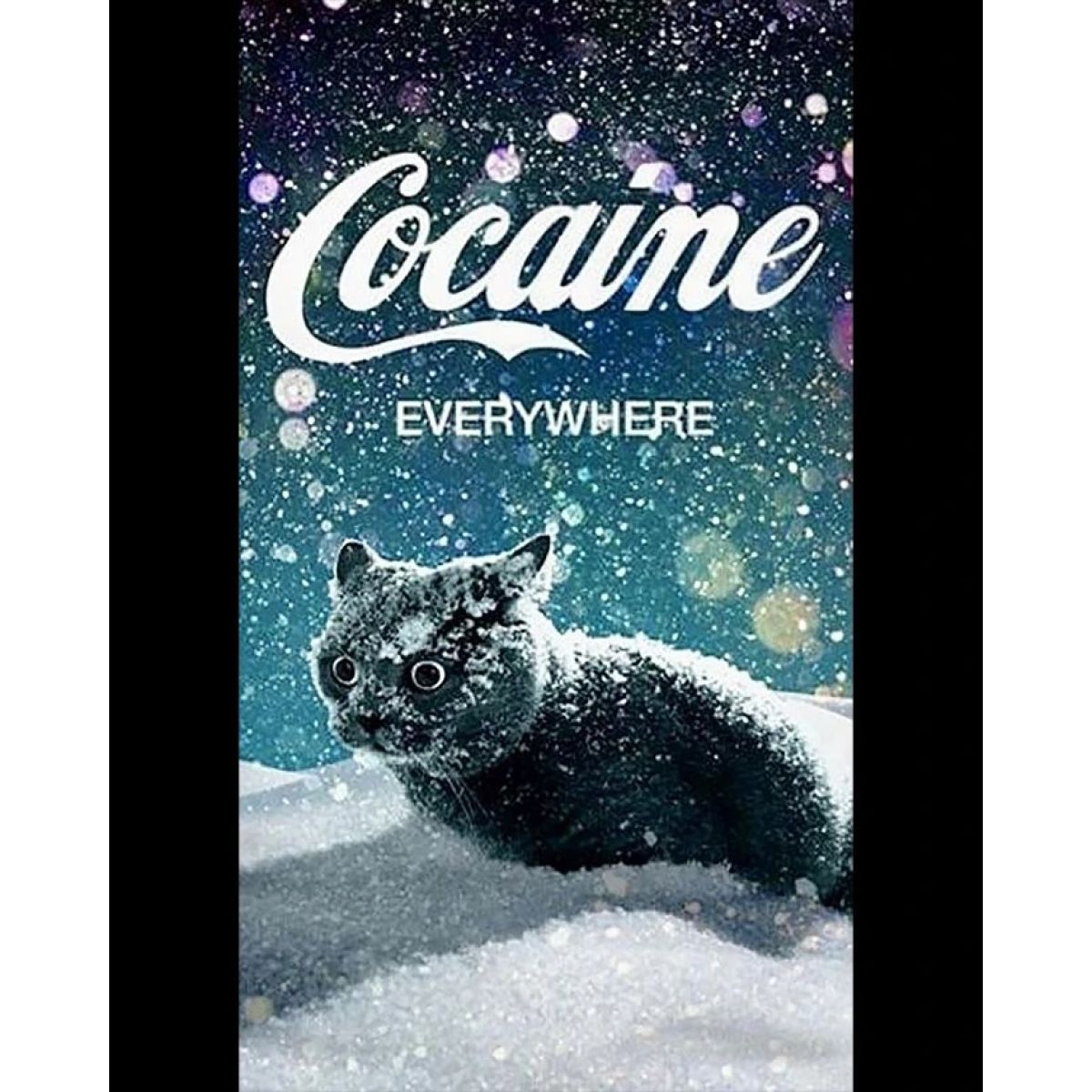 Футболка чоловіча чорна з принтом Cocaine Cat