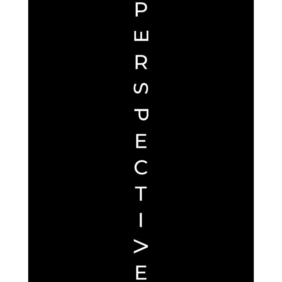 Футболка чоловіча чорна з принтом Perspective