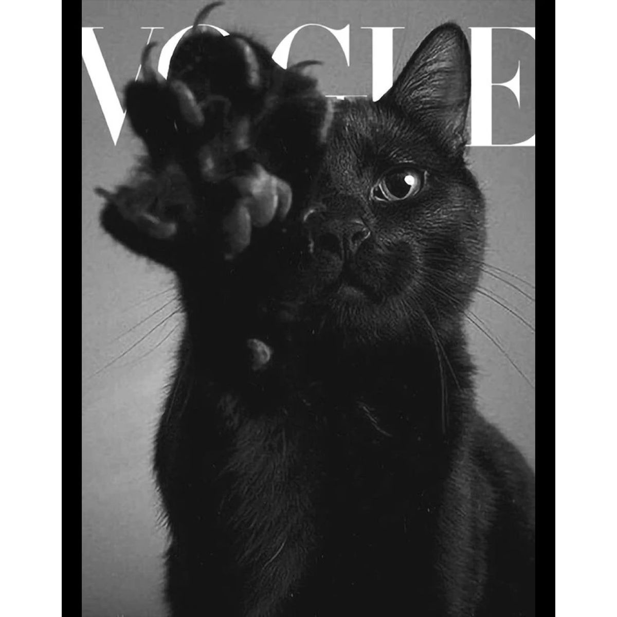 Футболка жіноча чорна з принтом Vogue Kitty