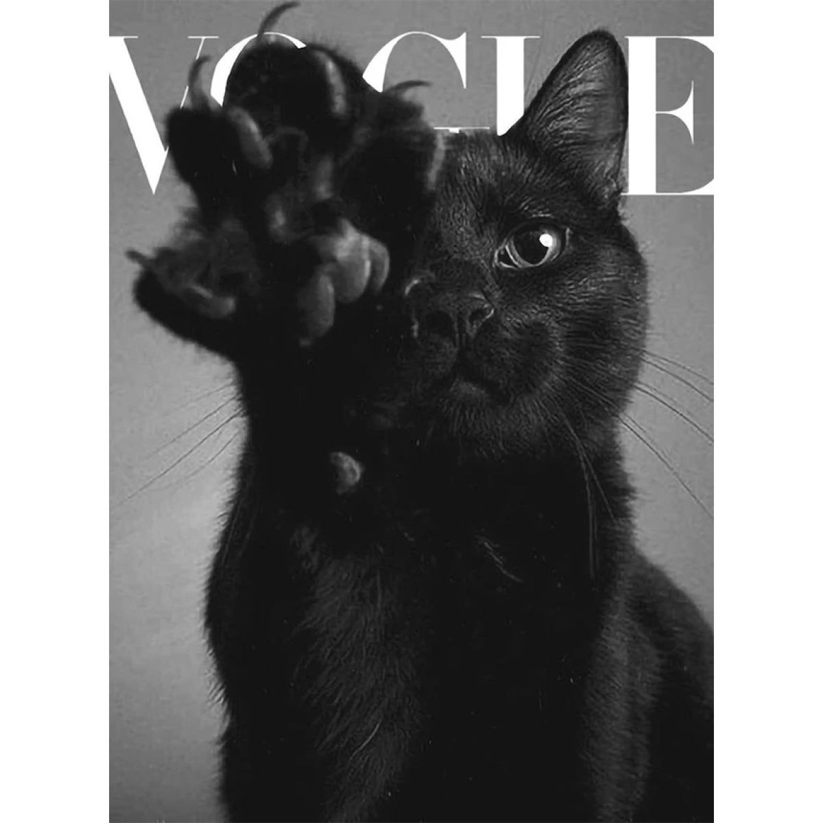 Футболка чоловіча біла з принтом Vogue Kitty