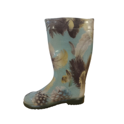 Гумові чоботи жіночі пір'я на блакитному